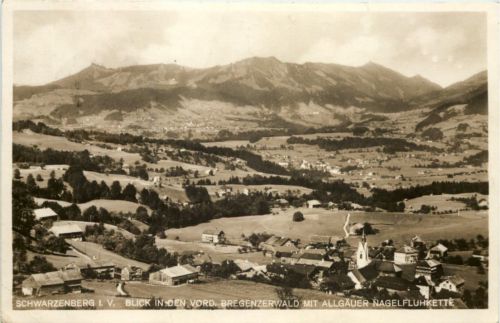 Schwarzenberg i.V., Blick in den Vorderbregenzer Wald