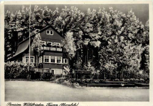 Teunz , Pension Waldfrieden