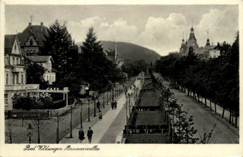 Bad Wildungen, Brunnen-Alle