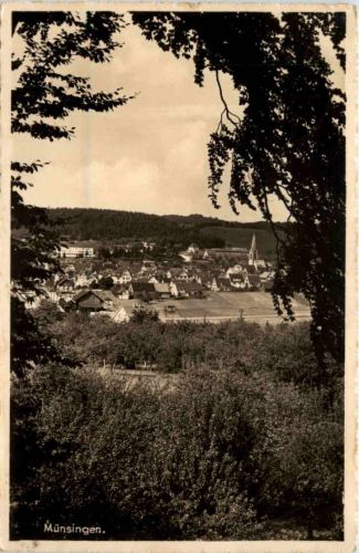 Münsingen