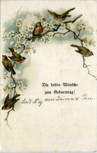 Geburtstag - Vögel