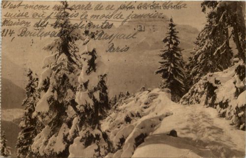 Leyin et la Dent du Midi