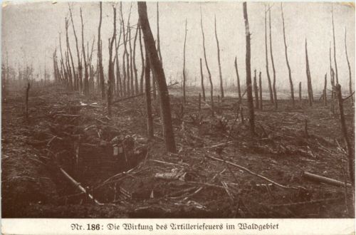 Wirkung des Artilleriefeuers im Waldgebiet