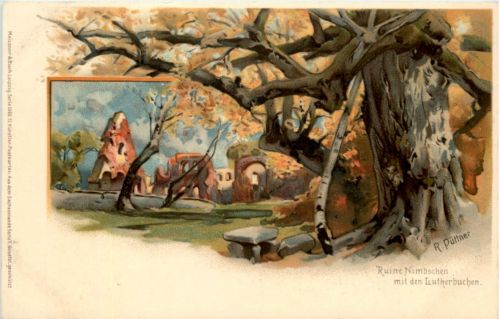 Ruine Nimbschen mit den Lutherbuchen - Litho