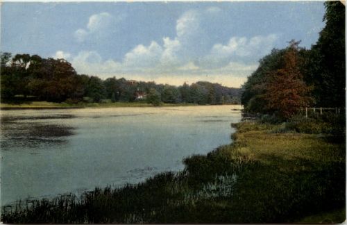 Im Sachsenwald bei Reinbek