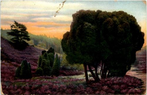 Lüneburger Heide