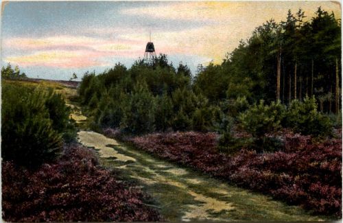 Lüneburger Heide