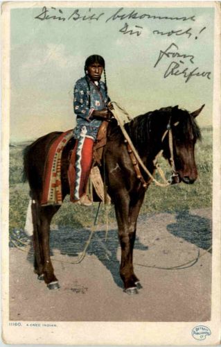 A Cree Indian