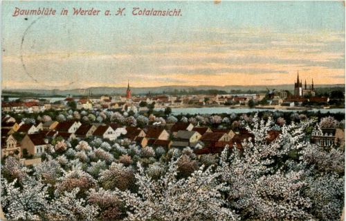 Baumblüte in Werder