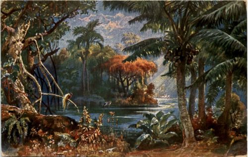 Kolonialkriegerdank - Landschaft in Kamerun