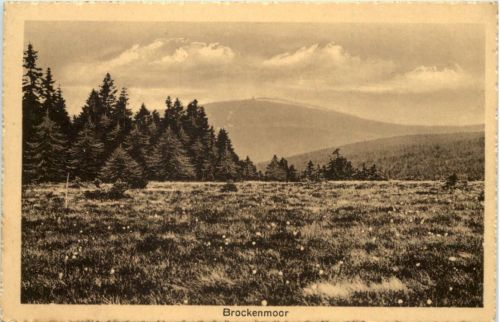 Brockenmoor - Torfhaus im Oberharz