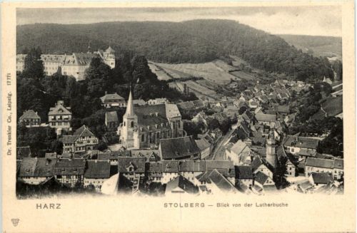 Stolberg Harz, Blick von der Lutherbuche