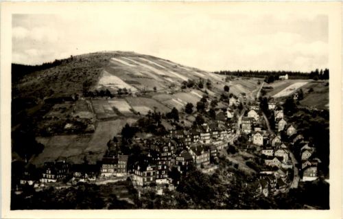 Lauscha, Tierberg