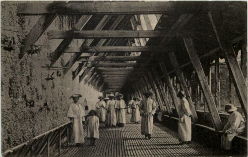 Bad Salzungen, Wandelhalle im Gradierhaus