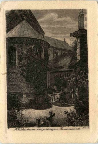 Hildesheim, 1000 jähriger Rosenstrauch