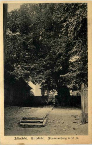 Alterstedt, Kirchlinde