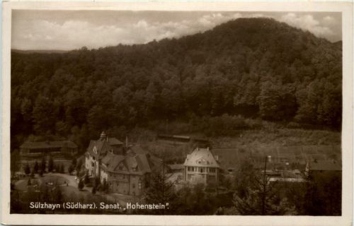 Sülzhayn, Südharz, Sanat. Hohenstein