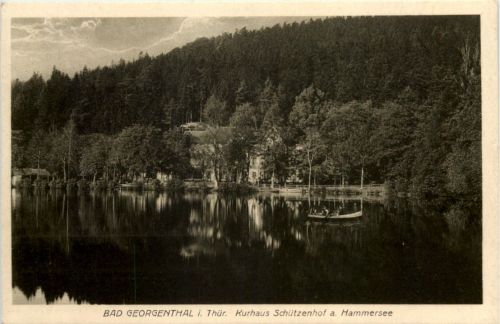 Bad Georgenthal, Kurhaus Schützenhof a. Hammersee