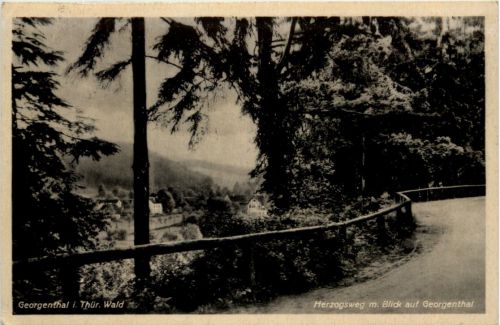 Bad Georgenthal, Herzogsweg m. Blick auf Georgenthal