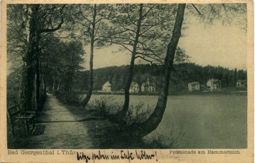 Bad Georgenthal, Promenade am Hammerteich