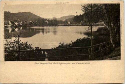 Georgenthal in Thüringen, Frühlingsmorgen am Hammerteich