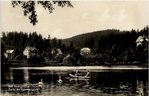 Georgenthal in Thüringen, Partie am Hammerteich