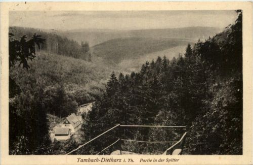 Tambach - Dietharz, Partie in der Spitter