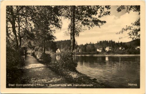 Georgenthal in Thüringen, Promenade am Hammerteich