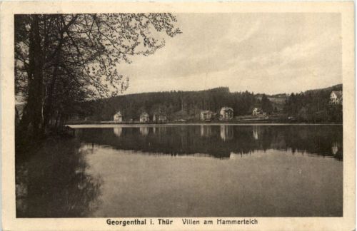 Georgenthal, Villen am Hammerteich