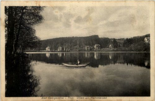 Georgenthal, Villen am Hammersee