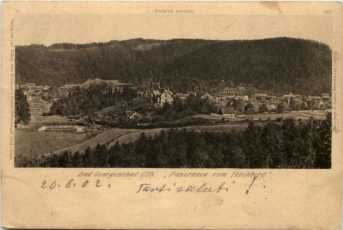 Georgenthal, Panorama vom Teichberg