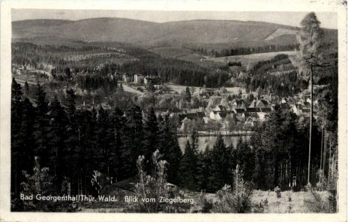 Georgenthal in Thüringen,, Blick vom Ziegelberg