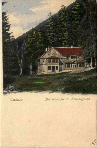 Tabarz, Massenmühle im Lauchagrund