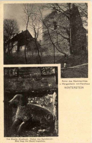 Waltershausen, Ruine des Stammschloss v. Wangenheim, Winterstein