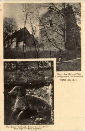 Waltershausen, Ruine des Stammschloss v. Wangenheim, Winterstein