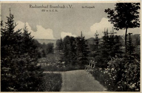 Brambach i. V. - Im Kurpark