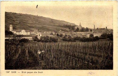 Barr - Blick gegen die Stadt