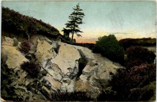 Lüneburger Heide - Sandbruch