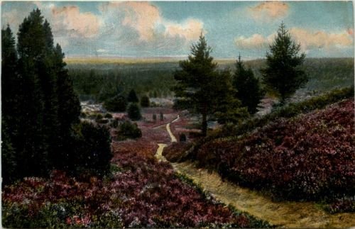 Lüneburger Heide - Weg durch den Totengrund bei Wilsede