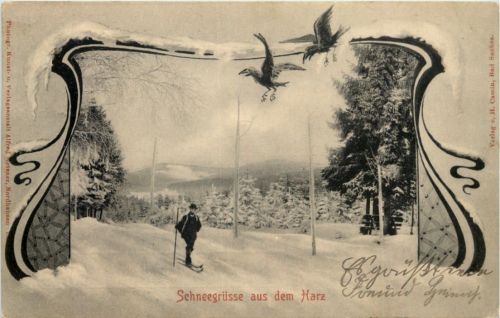 Schneegrüsse aus dem Harz - Ski