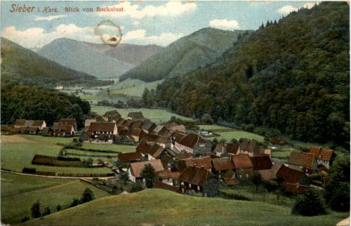 Sieber im Harz