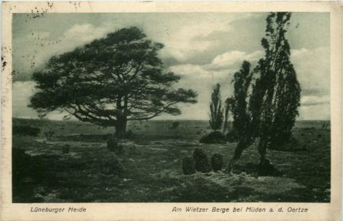 Lüneburger Heide - Am Wietzer Berge bei Müden