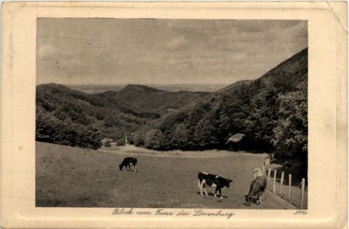 Blick vom Fusse der Lörvenburg