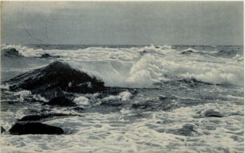 Dierhagen - Tobende See