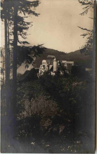 Leutenberg, Die Friedensburg