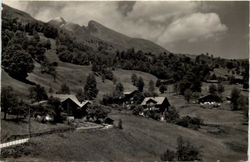 Chalets bei Grindelwald