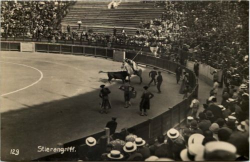 Stierkampf - Stierangriff