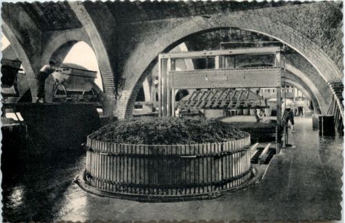 Casa Codorniu - San Sadurni de Noya - Valencia - Weinbau