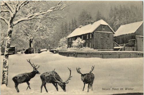 Tabarz - Neues Haus im Winter