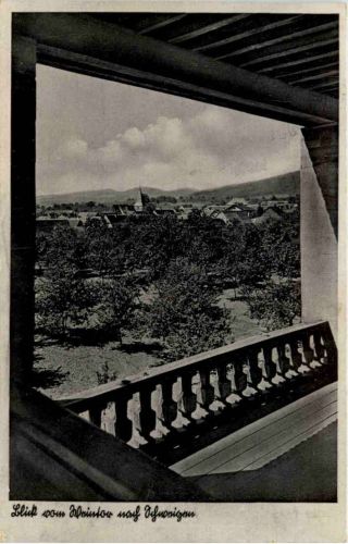 Blick vom Weintor nach Schweigen